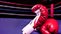 MotorCity Cage Night XXIII